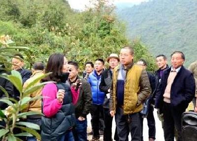 【精准扶贫看宣恩】长短结合促脱贫