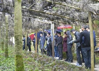 利川紧盯目标抓党建促脱贫攻坚