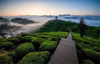 恩施：“三治融合”的山区样本