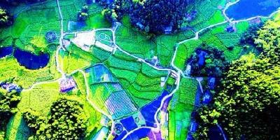 利川踩出武陵山区乡村振兴之路