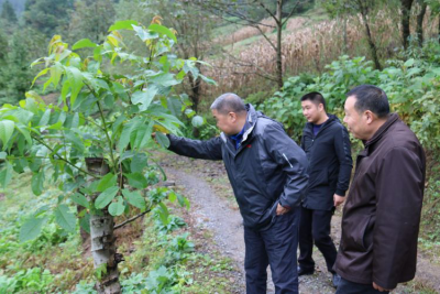 恩施州交通运输局驻村扶贫成效显著