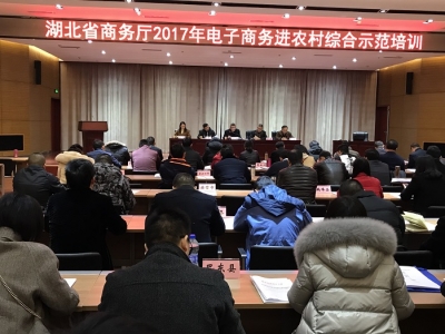 恩施州参加湖北省2017年电子商务进农村农村综合示范培训活动