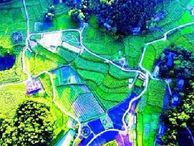 利川踩出武陵山区乡村振兴之路 