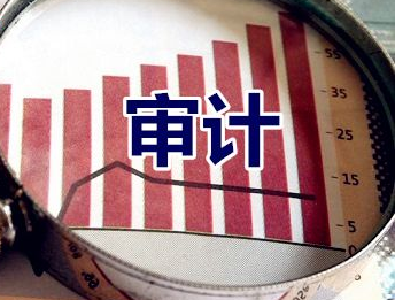 恩施州政府出台审计查出问题整改方案强力推进整改工作