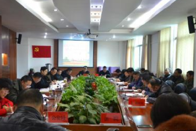 来凤安排部署一季度金融风险防范工作 