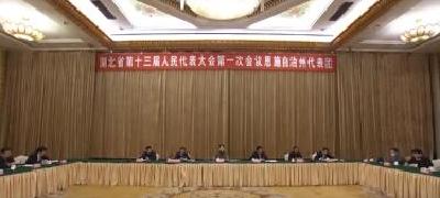 视频 | 湖北省十三届人大一次会议  恩施代表团继续审议政府工作报告
