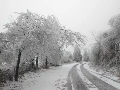 这里不是东北，这里是恩施！