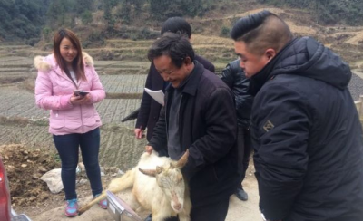 咸丰邓家沟村：土特产品销路不再愁 群众脱贫致富有奔头
