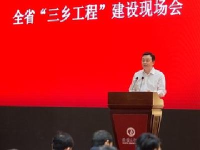 湖北出台21条政策措施服务保障“三乡工程”建设
