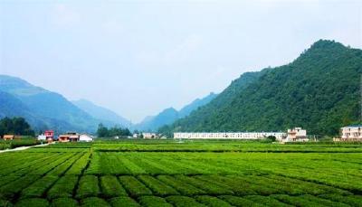 鹤峰全面推行河长制保护生态环境