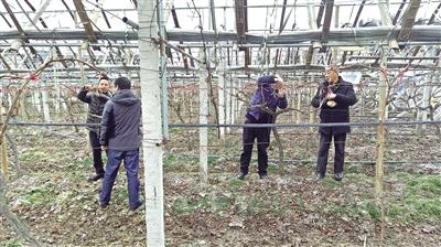 利川启动四级应急响应 迎战低温雨雪冰冻天气