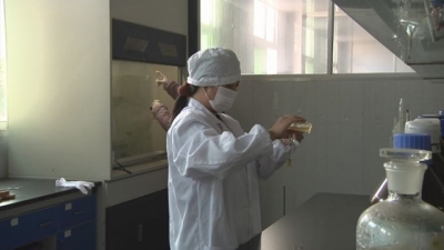恩施：抓产业壮实体  做大做强特色经济