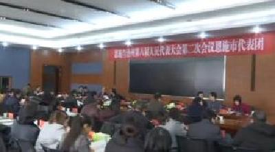 视频 | 人大代表分组审议各项决议和报告