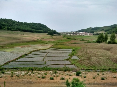 开辟三乡工程用地绿色通道 —我省出台二十一条服务新政解读