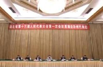 省十三届人大一次会议恩施代表团全体会议 审议计划和财政工作报告 