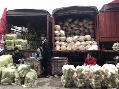 恩施 | 州城：降雪致蔬菜运输困难 部分菜价上涨