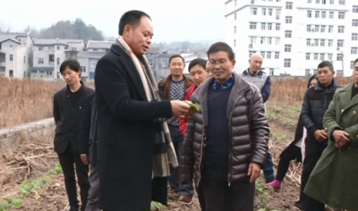 建始 | 加强培养新型职业农民