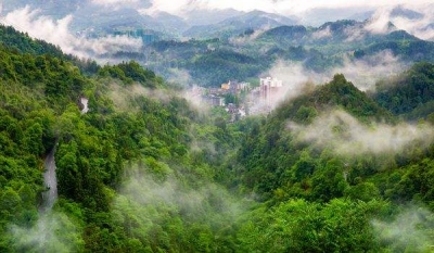 咸丰加快打造高质量县域绿色经济体