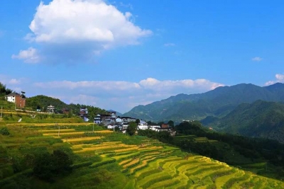我国2020年有望建成国家生态保护红线监管平台