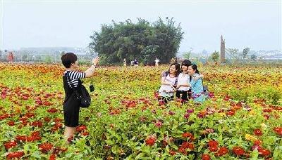 人民日报谈乡村振兴:让乡村的人气更旺些