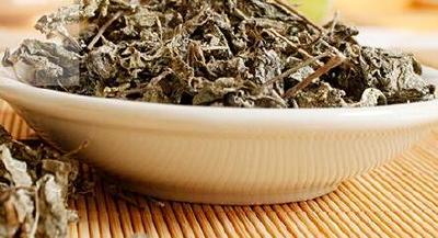 来凤县与湖北一润藤茶公司“赶早”共谋藤茶发展