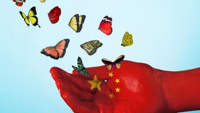 中国“安全感”带给世界的启示