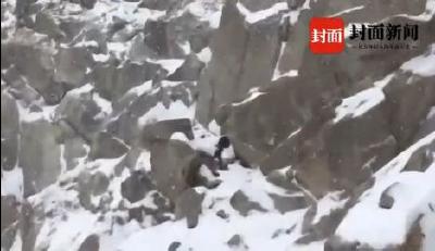 痛！大学生违规登山遇难，这条新规意味深长……
