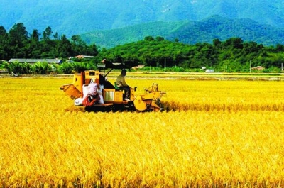 湖北：到2050年农业农村现代化强省全面建成