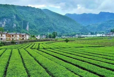 2018年最美宣恩旅游形象大使选拔赛开始啦 ！