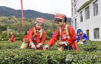 利川 | “忠路贡茶”开园节热山乡