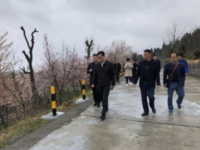国家中药材产业技术体系恩施综合实验站获批挂牌