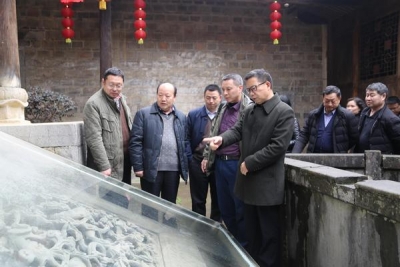 吕金施赴咸丰县开展专题视察、调研