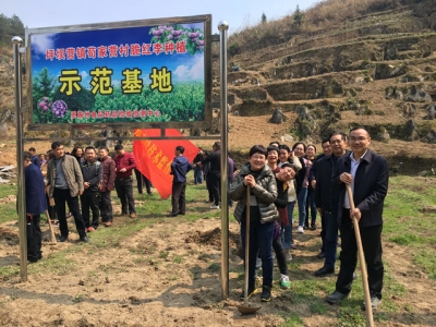 幸福树下闯新路