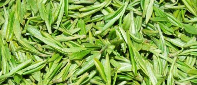 恩施每年5万吨茶销往全国各地