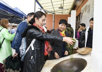 利川：“采茶体验好开心”