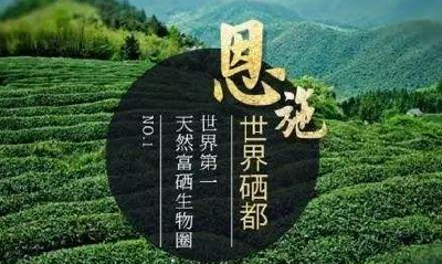 《中国经济时报》：全国人大代表、湖北省恩施州州长刘芳震 重点发展硒产业 推动全民科学补硒 