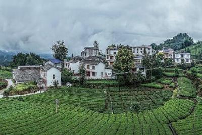 耿文清在恩施调研时强调 抓住重点 突出就业助力脱贫攻坚