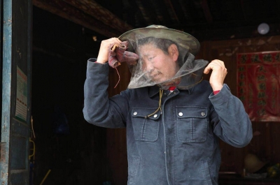 直播：【春到贫困村】探访宣恩七姊妹山脚下的养蜂人