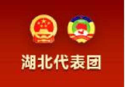 湖北代表团分组审议政府工作报告——铺展新时代的蓝图 奋斗更美好的未来