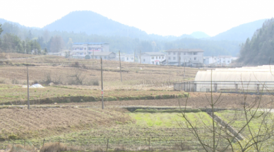 张建文赴恩施市调研督导抓党建促脱贫攻坚工作