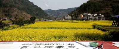 【春到贫困村】利川建南镇：以花为媒 助推乡村振兴