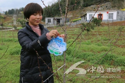 建始 | 开启特色富硒农业新模式 众筹上市人气爆满