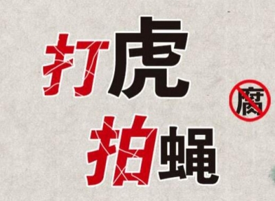 恩施州农发信用担保股份有限公司党支部书记马家敏接受审查调查