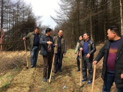 土地冻凌造成中药材大面积受灾 恩施州中心医院请专家“把脉”稳固产业扶贫“造血功能” 