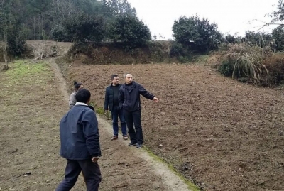 来凤 | 种下产业树 拓宽致富路