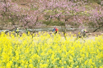“浪漫三月 花开建南”首届利川谋道油菜花节引万人注目