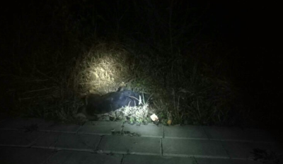 一驾驶员在恩黔高速撞倒不明物体前方有血迹 随即报警！