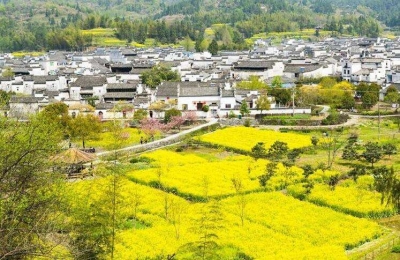 湖北出台乡村振兴