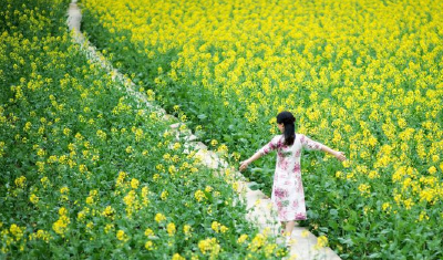 恩施州20条乡村游线路主题活动新鲜出炉