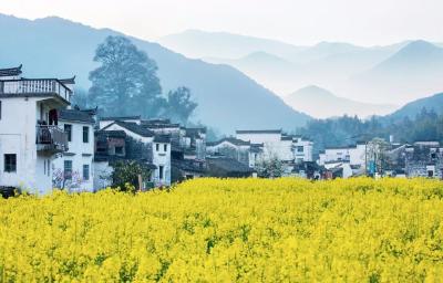 州政协主席刘建平督办公园项目进度